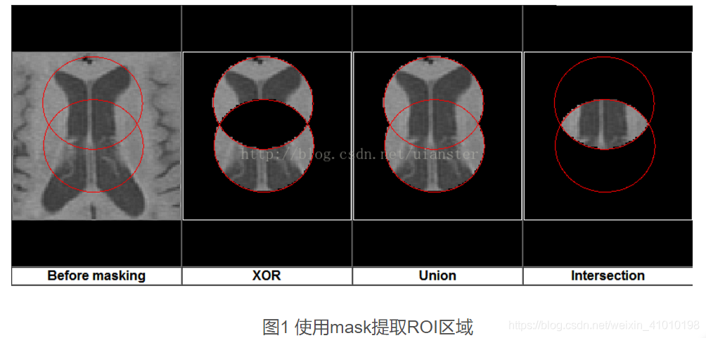 使用mask提取ROI区域